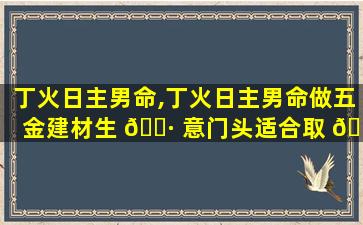 丁火日主男命,丁火日主男命做五金建材生 🌷 意门头适合取 🐅 什么名字